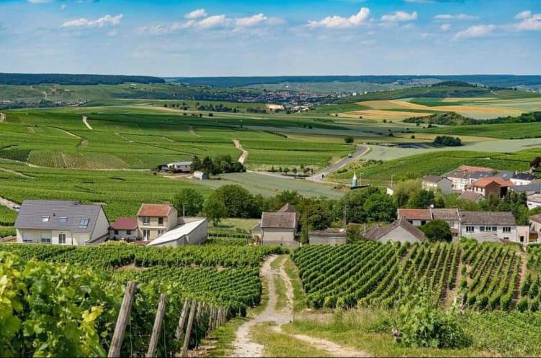 Gite En Champagne Le Sarment Cramant Экстерьер фото
